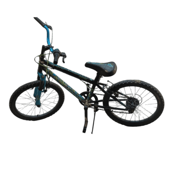 Bicicleta Mercurio Rodada 20